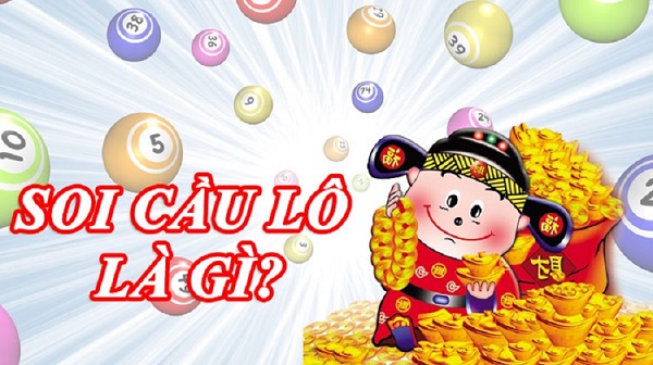 Lưu ý đến quá trình phân bổ nguồn vốn khi nuôi lô Lưu ý đến quá trình phân bổ nguồn vốn khi nuôi lô